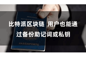 比特派区块链  用户也能通过备份助记词或私钥