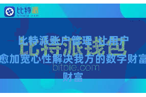 比特派账户管理  让用户愈加宽心性解决我方的数字财富