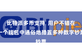比特派多币支持  用户不错在一个钱包中通俗地措置多种数字钞票