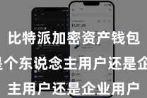 比特派加密资产钱包  不管是个东说念主用户还是企业用户