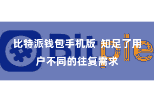 比特派钱包手机版  知足了用户不同的往复需求