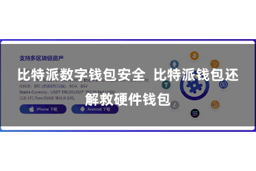 比特派数字钱包安全  比特派钱包还解救硬件钱包