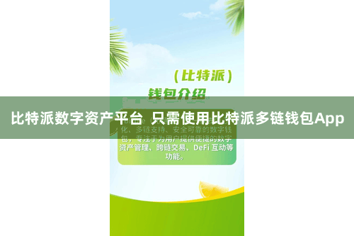 比特派数字资产平台  只需使用比特派多链钱包App