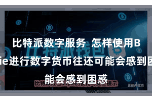 比特派数字服务  怎样使用Bitpie进行数字货币往还可能会感到困惑
