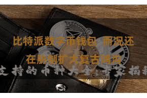 比特派数字币钱包  而况还在胁制扩大复古鸿沟