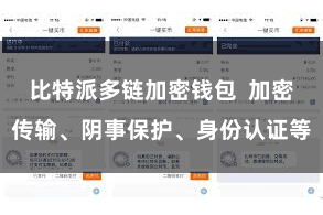 比特派多链加密钱包  加密传输、阴事保护、身份认证等